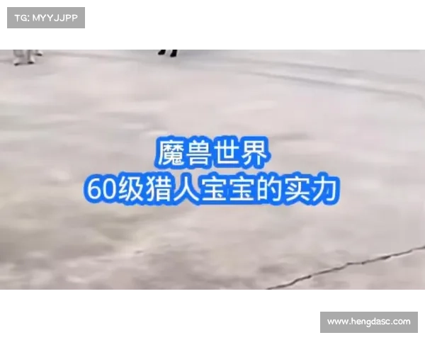 魔兽世界怀旧服猎人宝宝等级提升攻略